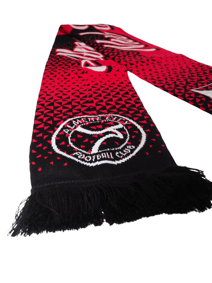 From scarf Almere City FC